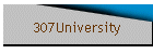 307University